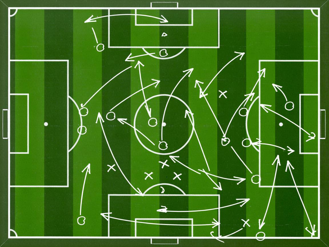 开云体育app官网-200蝶节奏曲线首次公开 第2张